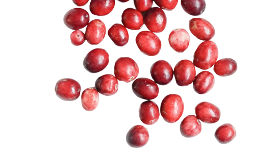 Cranberry-Extrakt